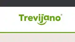 trevijano.com